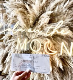 Lola on the moon