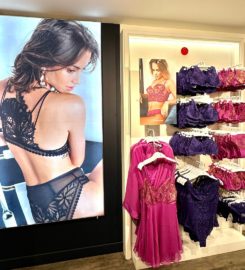 Rouge Gorge